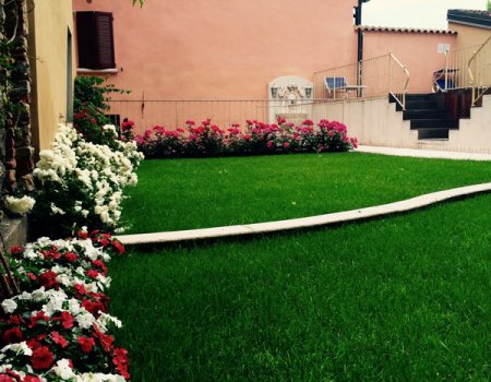 Flower garden at the residence.